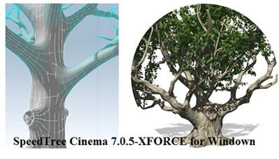 SpeedTree Cinema 7.0.5 + LIBRARY-/XFORCE