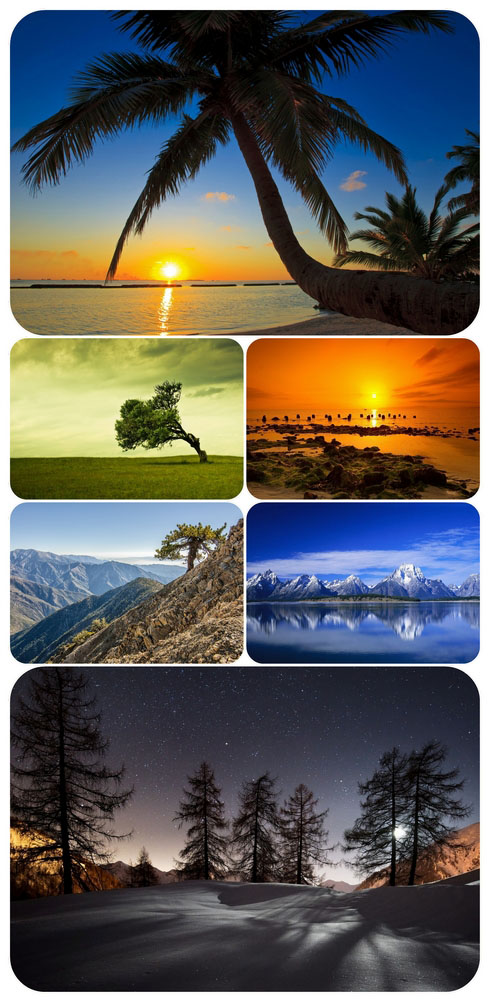 Most Wanted Nature Widescreen Wallpapers #140