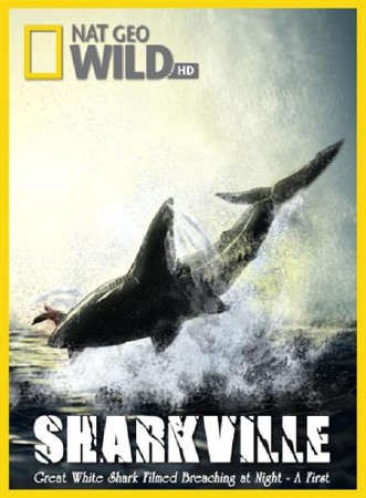  / Sharkville (2008) HDTV (1080i)