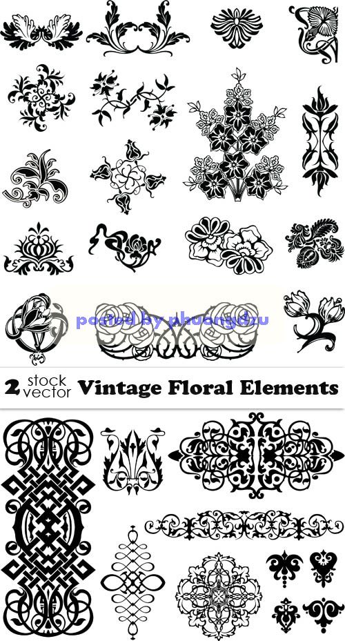 Vectors - Vintage Floral Elements