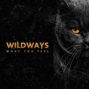 Wildways - What You Feel [Single] (2014)