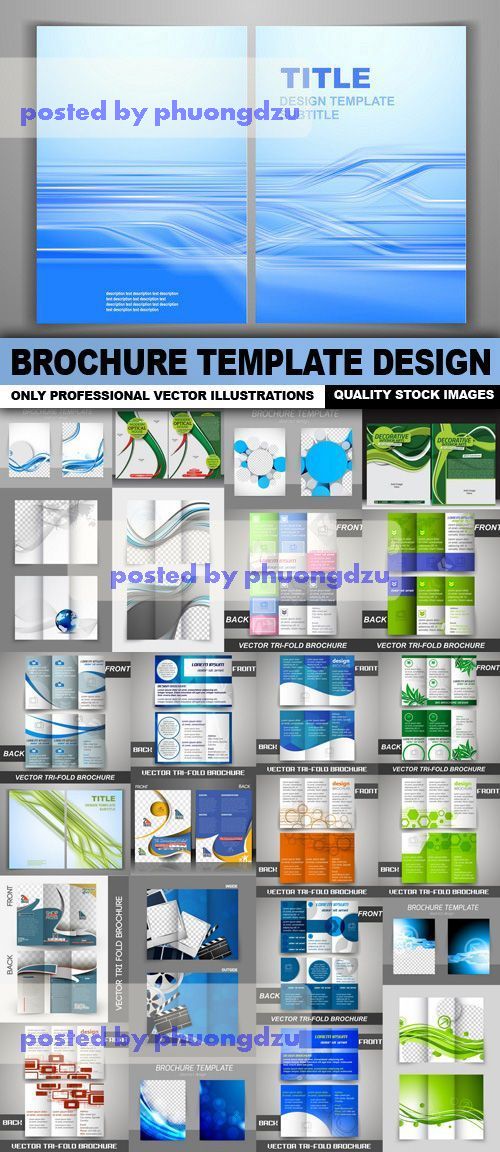 Brochure Template Design Vector 2