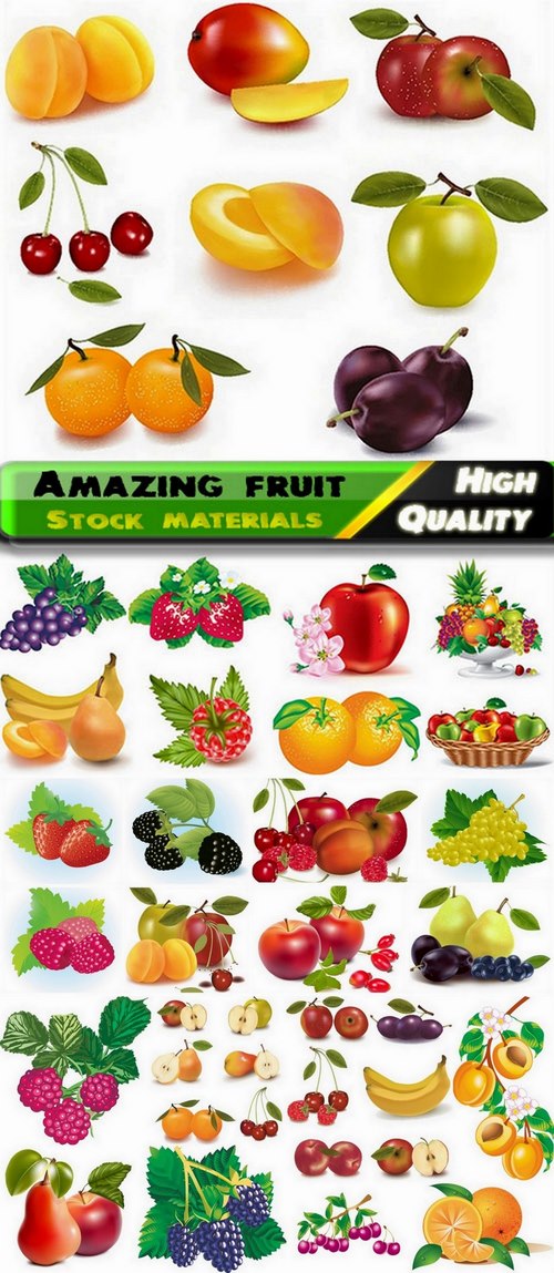 Amazing fruit in vector from stock - 25 Eps