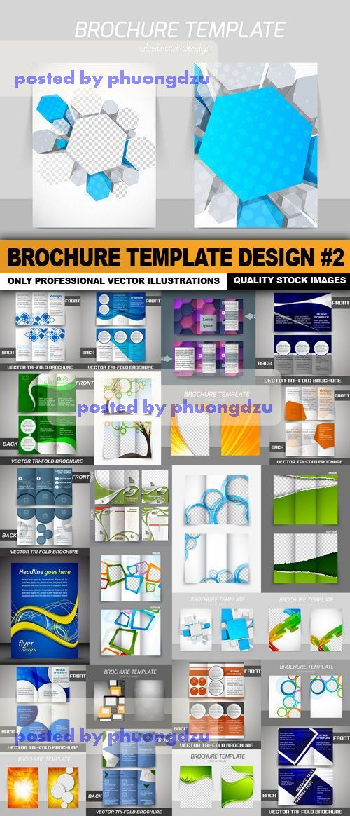 Brochure Template Design Vector part 2