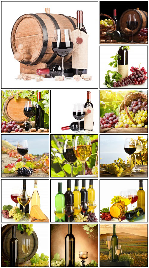 Wine, grapes and grapevine composition - Stock Photo