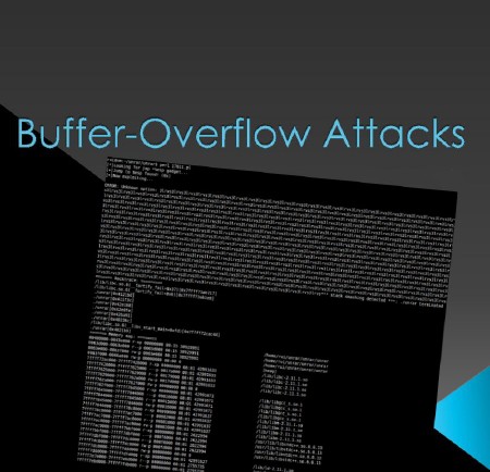 Buffer/Stack Overflow       (2014)