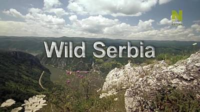    / Wild Serbia (2011) HDTVRip