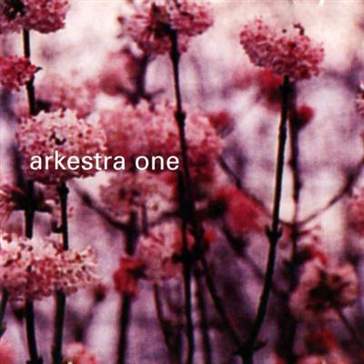 Arkestra One - Arkestra One (2002) Lossless