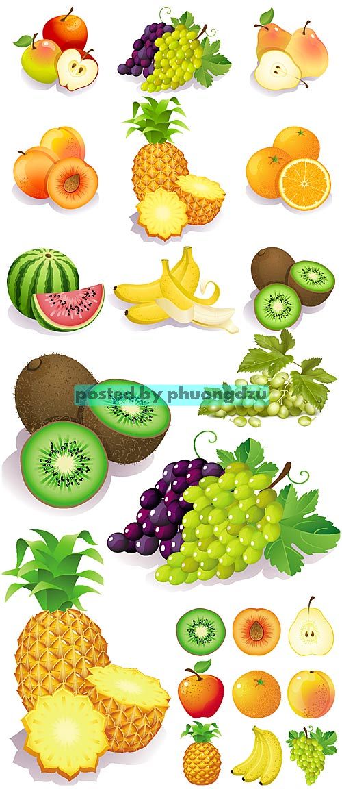 Vector fruit, tropical fruit 5