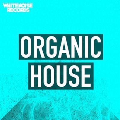 Whitenoise Records 0rganic House MULTiFORMAT