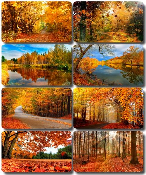 Золотая осень - Обои с фотографиями природы