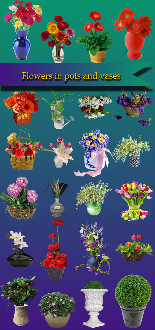 Flowers in pots and vases