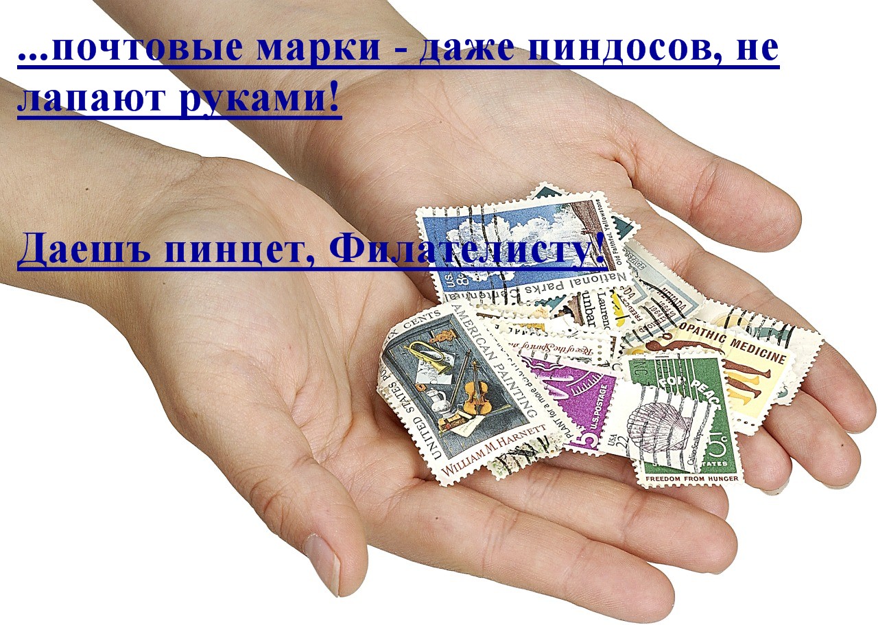 http://i66.fastpic.ru/big/2014/1120/01/6892ea0974b23e2a066064c808364b01.jpg