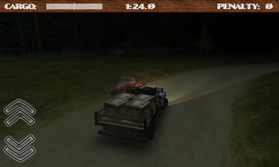 Screenshots of the game Dirt Road Trucker 3D for Android phone, tablet.
