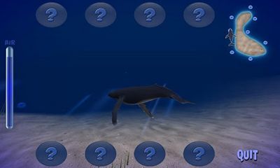 Screenshots of the game Humpback Whale on Android phone, tablet.
