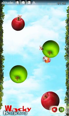 Screenshots of the game Wacky Hedgehog jump on the Android phone, tablet.
