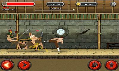 Screenshots of the game Kung Fu Quest The Jade Tower on Android phone, tablet.