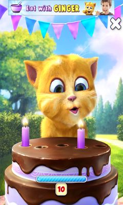 Screenshots of the game Ginger's Birthday   , .