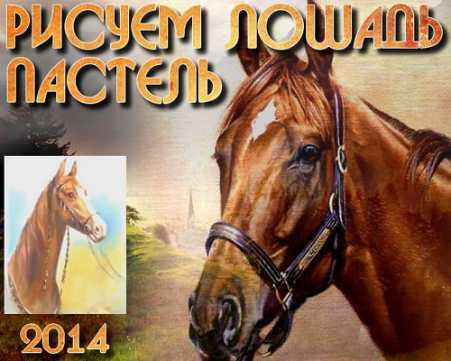  Рисуем лошадь в технике Пастель (2014)