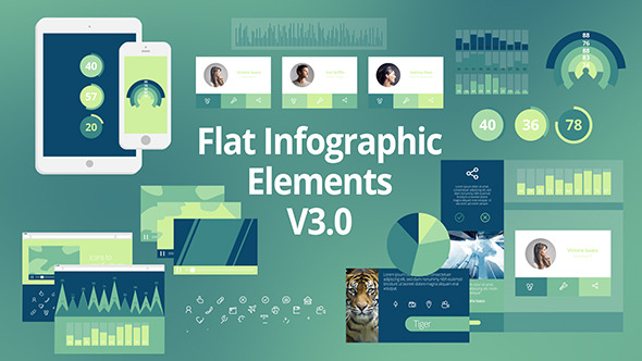 Videohive - Flat Infographic Elements V3.0