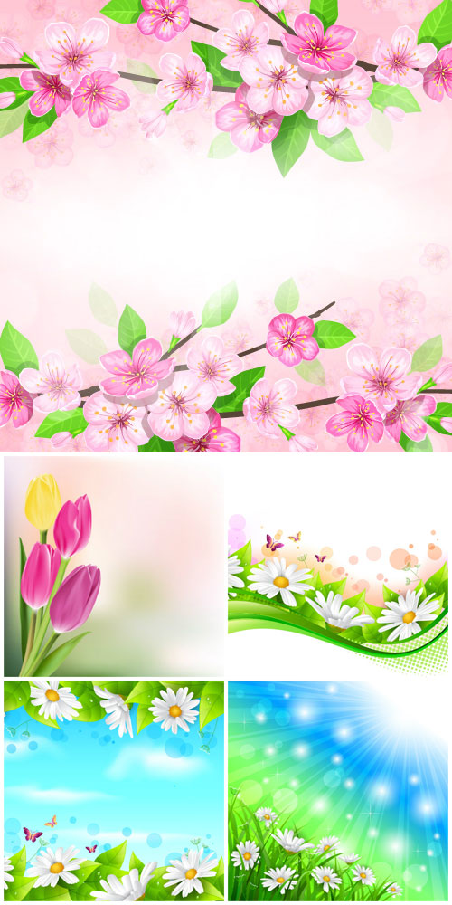 Flowers vector, daisies, tulips, spring flowers 2