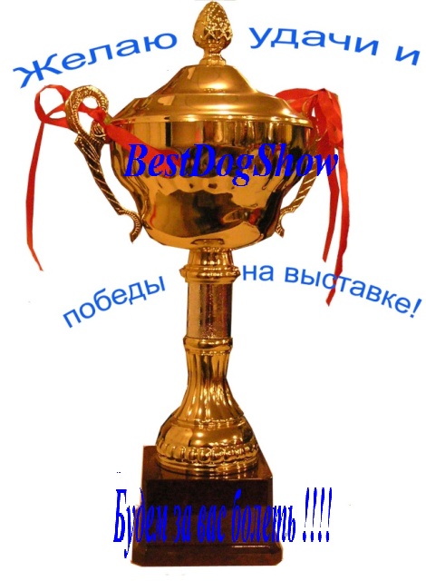 http://i66.fastpic.ru/big/2015/0306/b9/3b29f5ffae3ce25c6516f01f70e498b9.jpg
