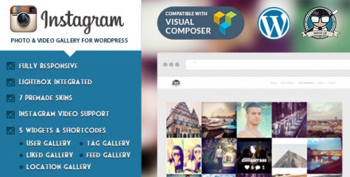 Nulled Instagram Photo & Video Gallery WordPress Plugin  