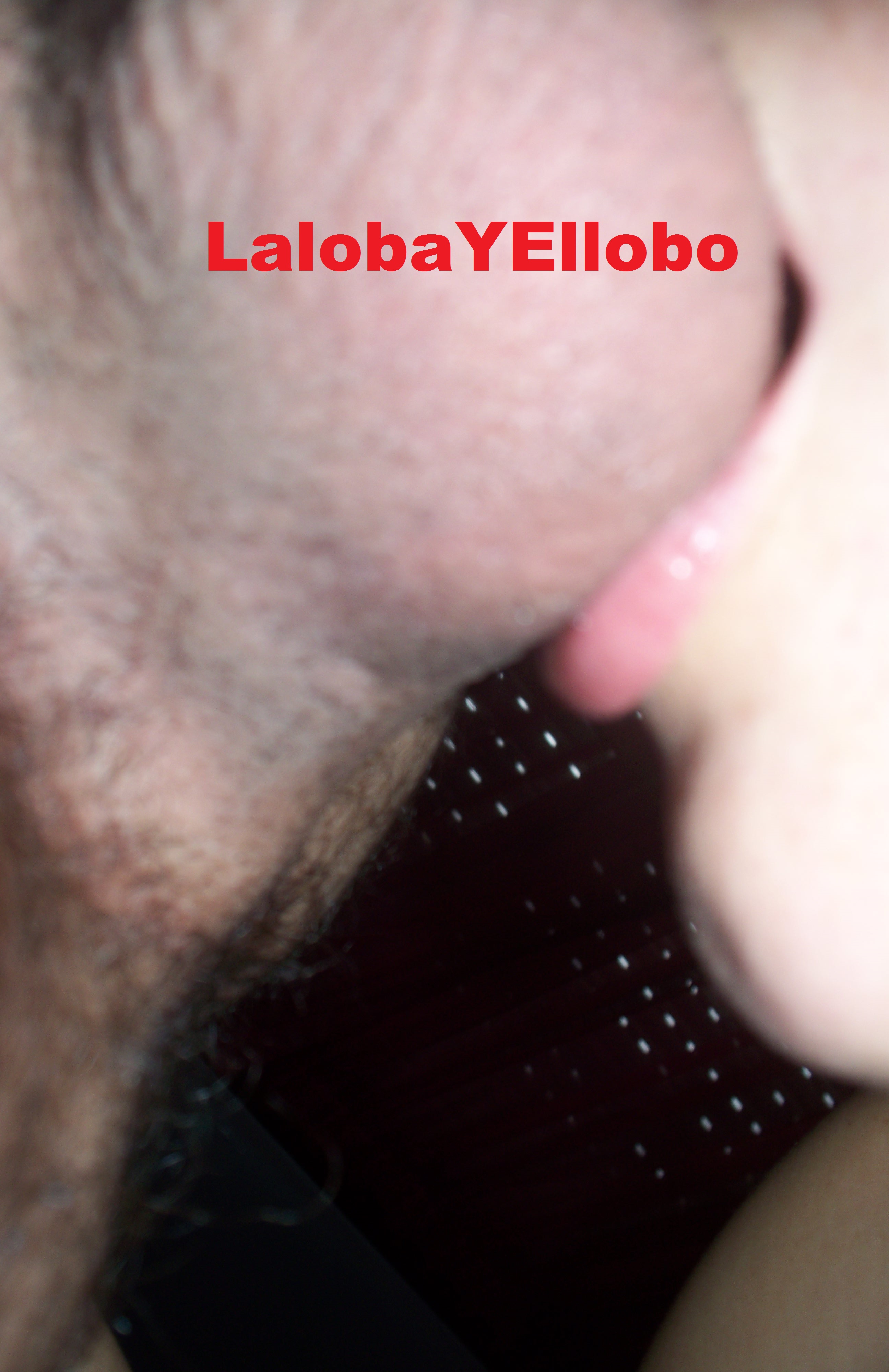 LalobaYEllobo: La loba beso negro :P