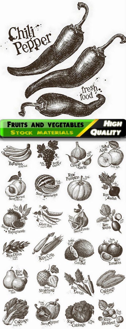 Fruits and vegetables hand drawn illustration - 25 Eps