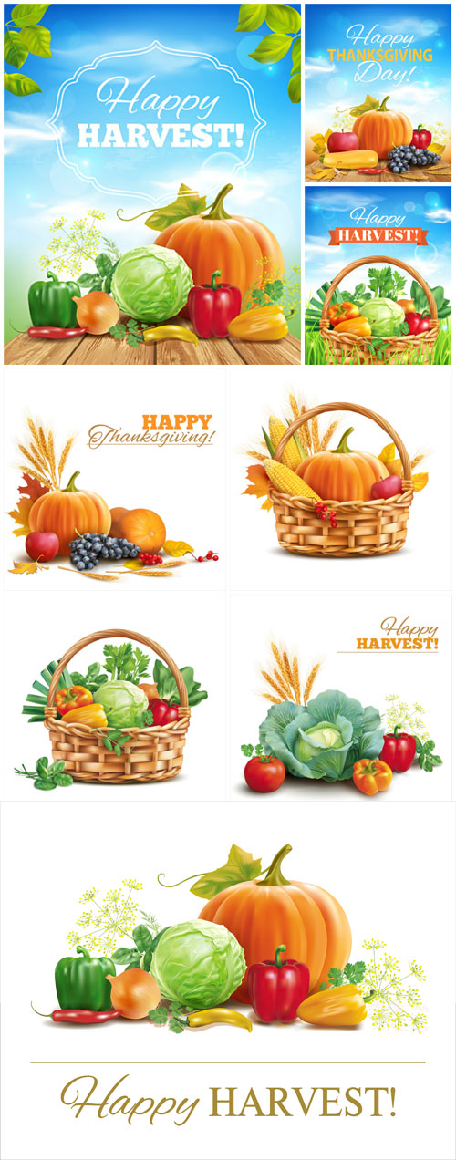 Time of harvest, vegetables vector