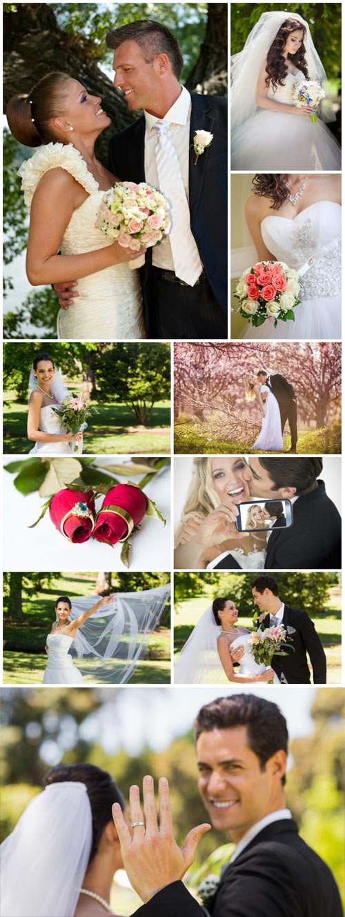 Happy family, bride and groom, wedding - Stock photo