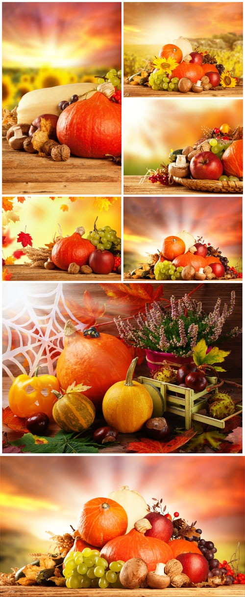 Autumn composition with pumpkin and vegetables - Stock photo