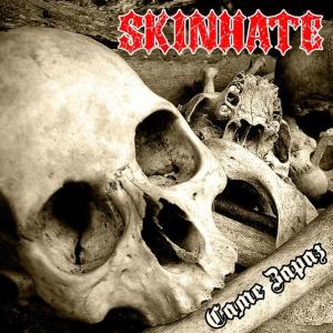 Skinhate - Саме Зараз [Single] (2015)