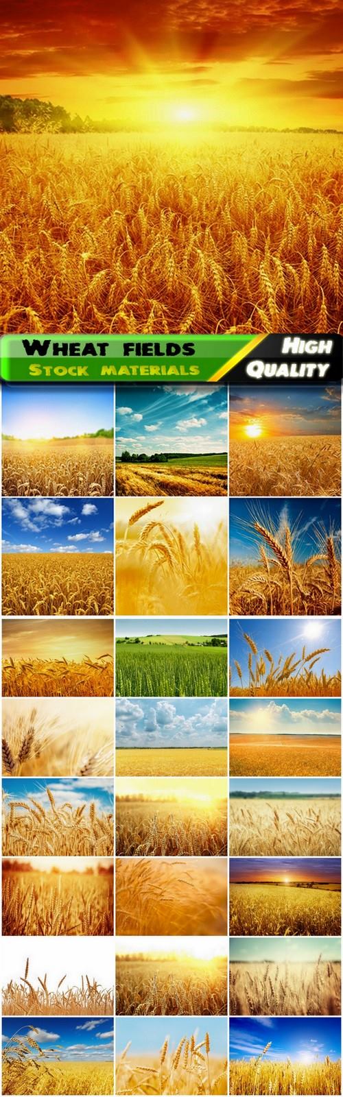 Summer wheat fields and landscpes - 25 HQ Jpg