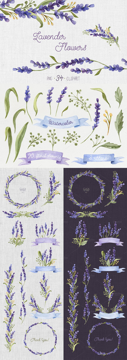 Creativemarket - Watercolor set with Lavender Flowers 272472