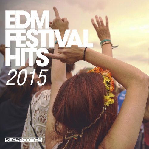 EDM Festival Hits 2015 (2015) 