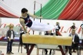 Первенство Беларуси по спортивной гимнастике стало «урожайным» для могилевчан
