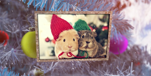 New Year Photo Album - Project for After Effects (Videohive)