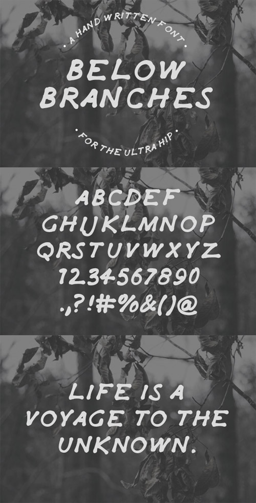 Hand Drawn Font - Below Branches 6