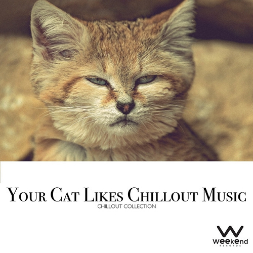 Your Cat Likes Chillout Music Chillout Collection (2015)