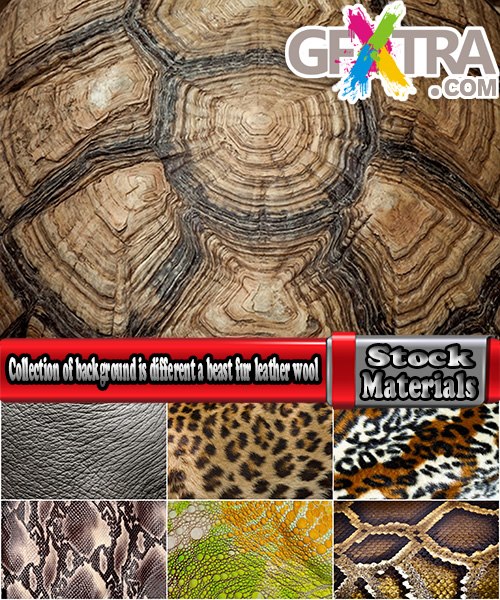 Collection of background is different a beast fur leather wool 25 HQ Jpeg