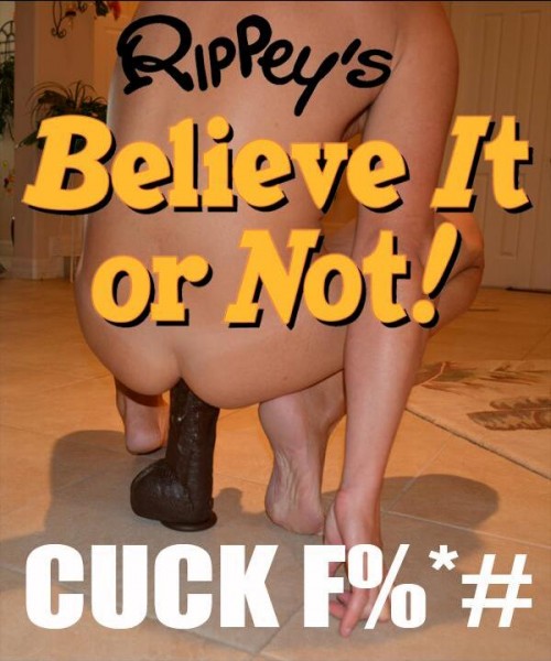 Rippey's Believe It Or Not! Cuck Fuck (2007/DVDRip)