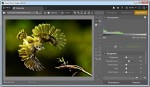 Zoner Photo Studio Pro 18.0.1.7 Portable (Rus)