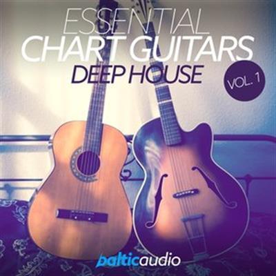 Baltic Audio Essential Chart Guitars Vol 1 Deep House WAV 180729