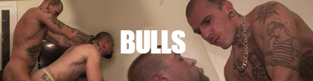 [pig-prod.eu] Bulls [2015 ., Anal, Blowjob, Cum shots, Gay, Hardcore, Kinky, Rimming, Oral, Tattoo, SiteRip]