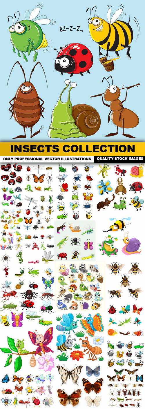 Insects Collection - 25 Vector