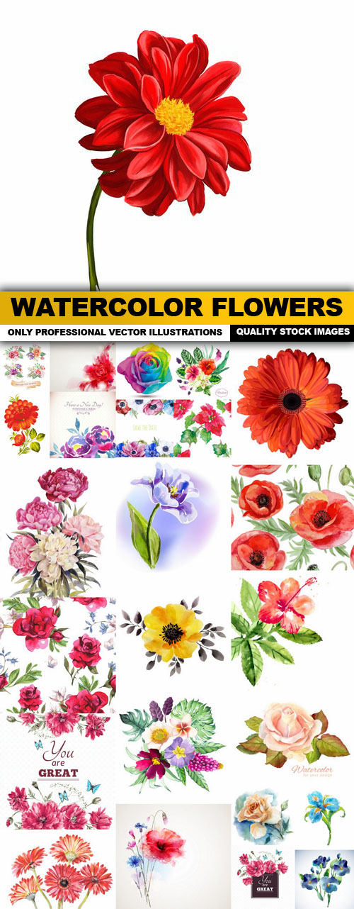 Watercolor Flowers - 25 Vector