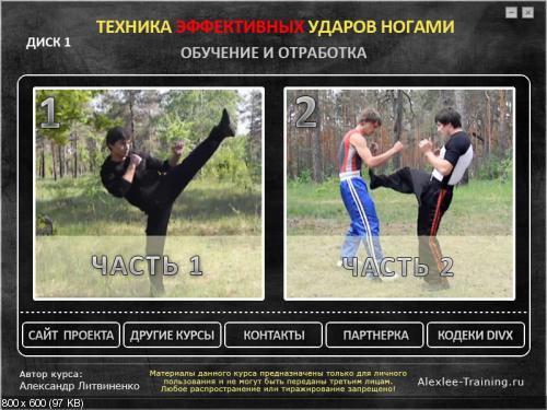 А. Литвиненко - Техника эффективных ударов ногами