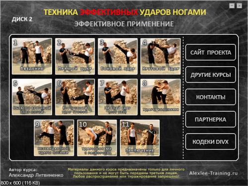А. Литвиненко - Техника эффективных ударов ногами