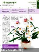 Комнатные и садовые растения от А до Я (№37 / 2014)